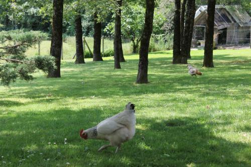 Bed & Breakfast Chambres D'h�tes Le Bois Trinquille