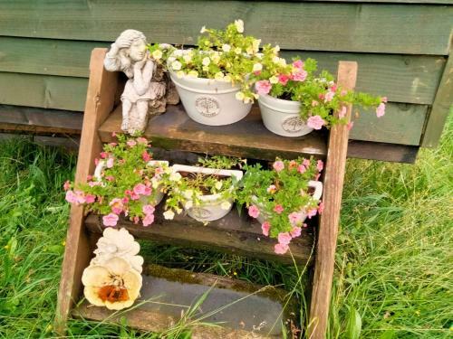 Elderflower Cottage 3 Private Acres And Miles Walks