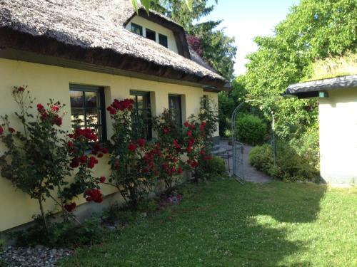 Apartamento Urlaub Unter Reet