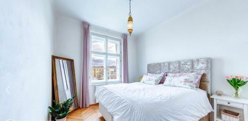City Center Apartment