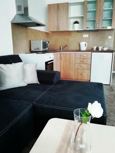 Apartm�ny U St?�brn�ch