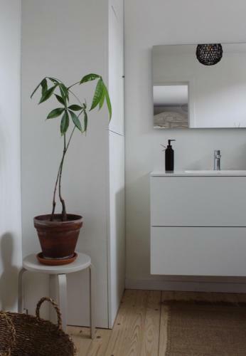 Apartamento Bay Tree Stay Ostend