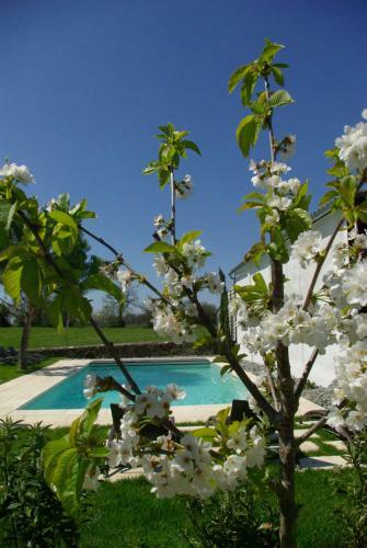 Bed & Breakfast Domaine de Bel Air Carpe Diem
