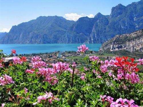 Apartamento Appartamenti Nido D'aquila