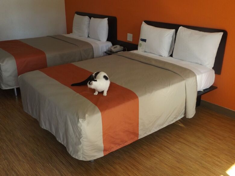 Motel 6 Glendale