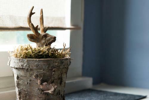 Apartamento Zum-goldenen-schaf