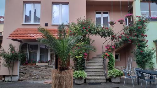 Hostal Penzion U ?m�d? N�m?st�