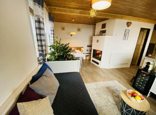 Apartamento Horsk� Chata U Kamen�?ka
