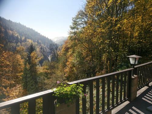 Hostal Penzion A Restaurace Belveder