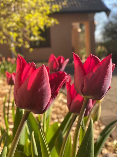 Bed & Breakfast Borgdal