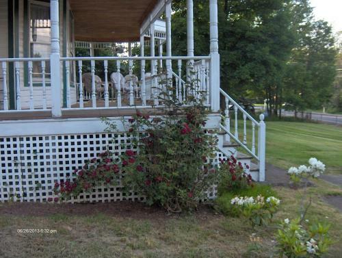 Hotel Antique Rose Inn Windham