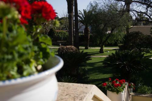 Hotel Caiammari