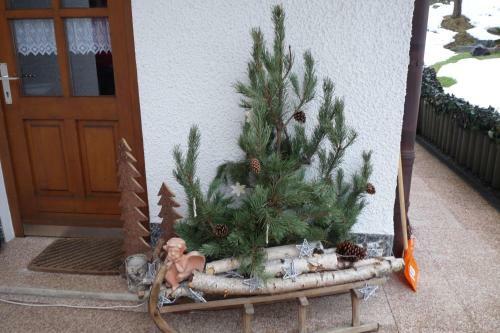 Apartamento Haus Ellerbeck