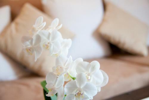 Apartamento Ferienwohnungen Koller