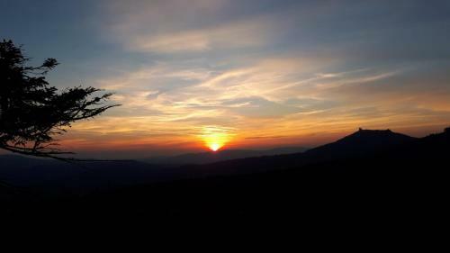 Apartamento Ferienwohnungen Koller