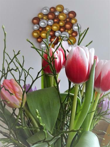 Apartamento Ferienwohnungen Koller