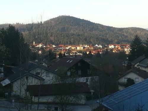 Hotel Waldhaus