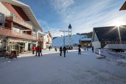 Ski Center Alpine Houses
