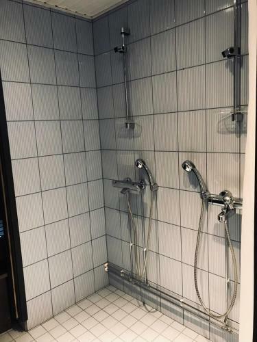 Ski Center Alpine Houses