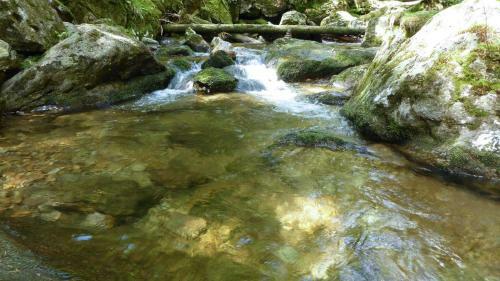 Apartamentos Ferienwohnungen Jonuscheit