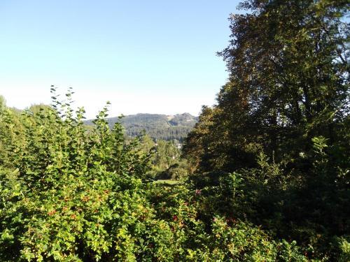 Apartamento Fewo 4 Am Rechens�ldenweg 29