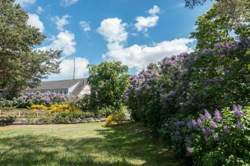Premiumhaus Bodden Und Mehr-brise