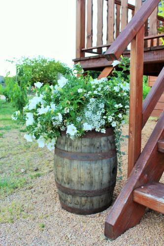 Bed & Breakfast Les Roulottes Viticoles