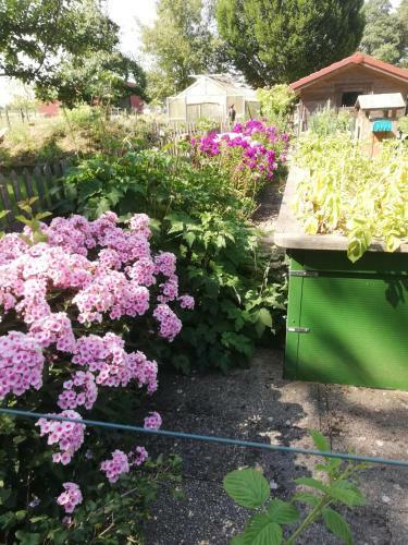 Apartamento Einzigartige Naturoase Im S�den Von Ingolstadt