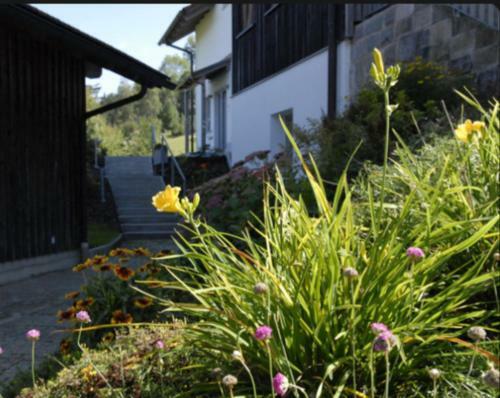 Apartamento Lichteck - Helle Ferien