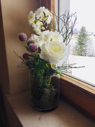 Apartamento Lichteck - Helle Ferien