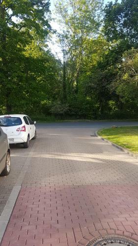 Apartamento Gr�ne Fewo Am Waldrand