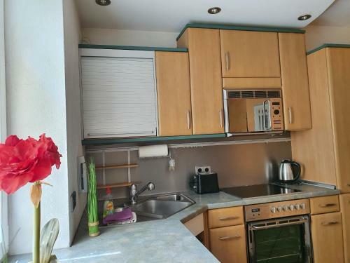 Apartamento Live To Lion