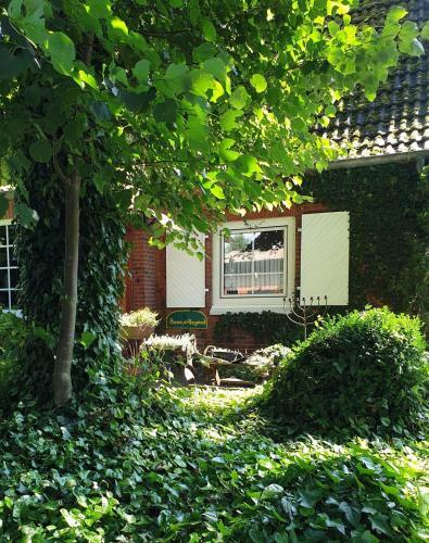 Apartamento Haus "asgard"