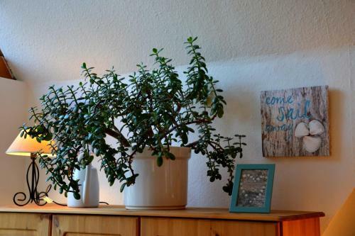 Apartamento Loft Am Diek