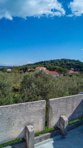 Vecchia Oliva,kuljica