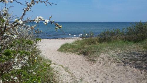 Strandhaus Florimar, Nur 350 M Zum Strand