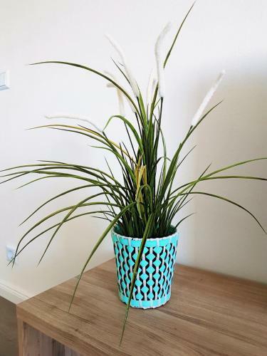 Apartamento Ferienwohnung City Connection