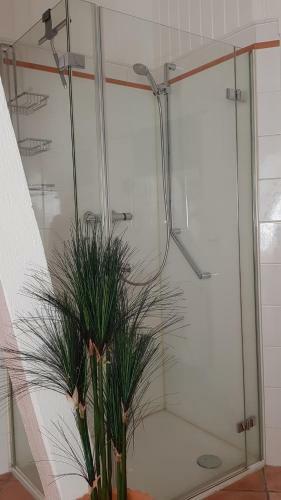 Apartamento Lieblingsplatz