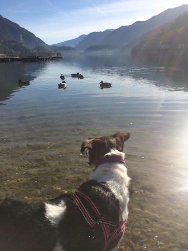 Hotel Garn� Enjoy Ledro