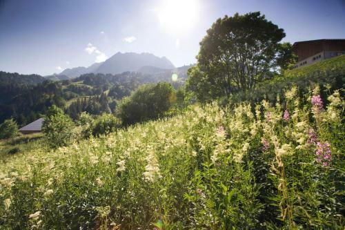 Apartamento Chalet La Giettaz