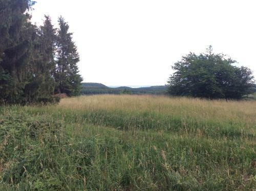 Apartamento Ferienwohnung Harzblick