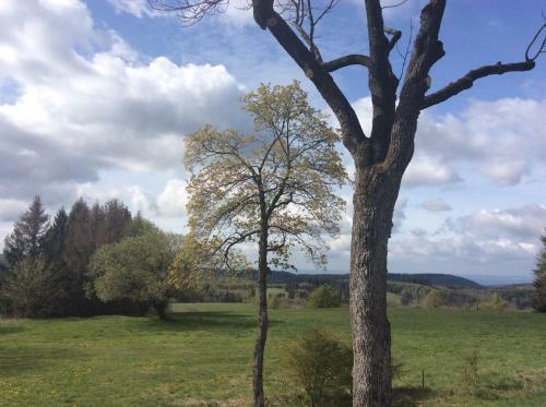 Apartamento Ferienwohnung Harzblick