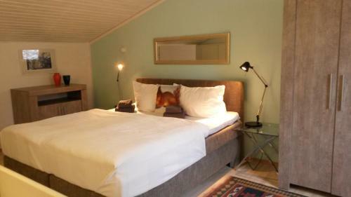 Apartamento Ferienwohnung Felix Braunlage