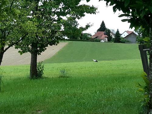 Apartamento Landhaus-stockinger