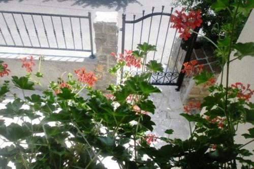 Modern And Rustic Near Opatija