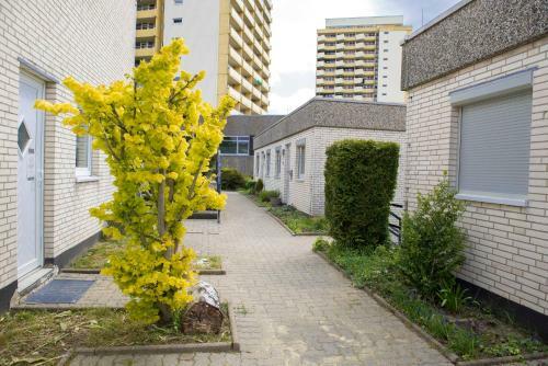 Apartamento Terrassenhaus 626/627