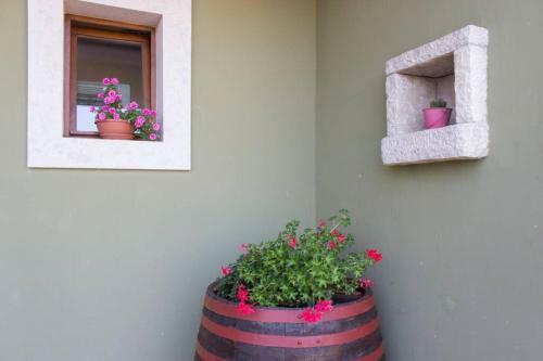 Villa Zelena Ku?a- Green House