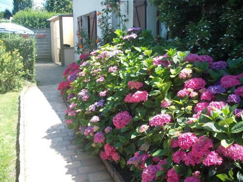 Bed & Breakfast Chambre D'h�te La Mer