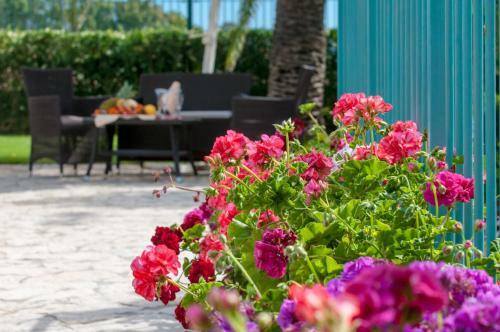 Hotel Ristorante Il Vascello