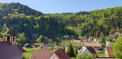 Apartamento Ferienwohnung Wolfsschlucht